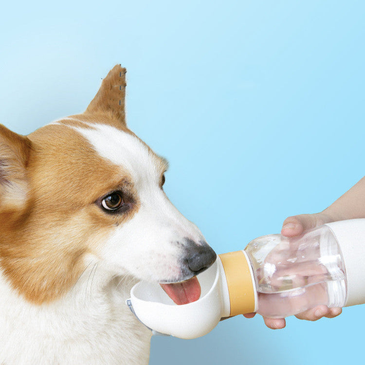 Pet Accessories - JUCE