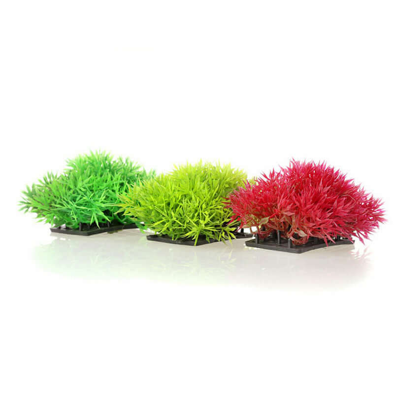 Simulation of Water Plants, Fish Tank Landscaping Simulation Plants - JUCE