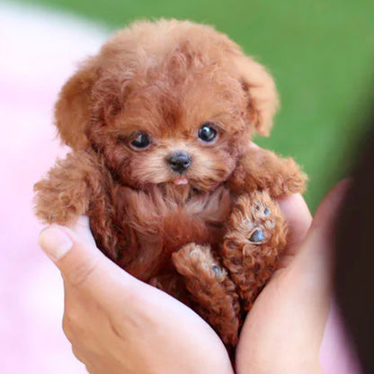 Robot Puppy Short Plush Doll - JUCE