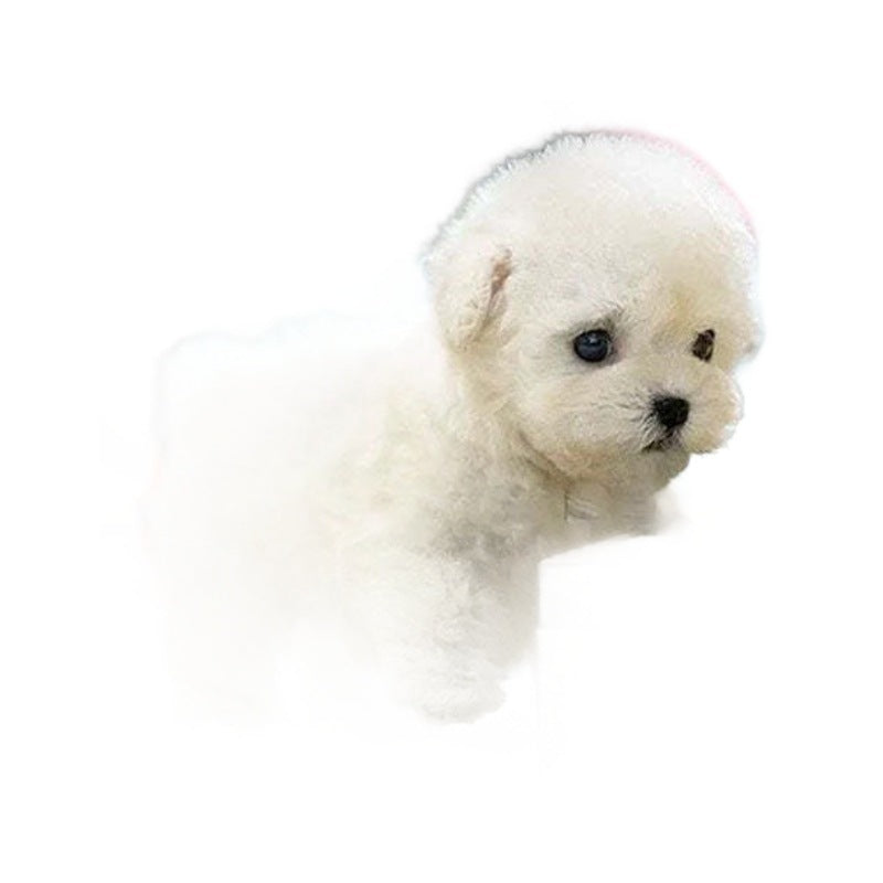 Robot Puppy Short Plush Doll - JUCE